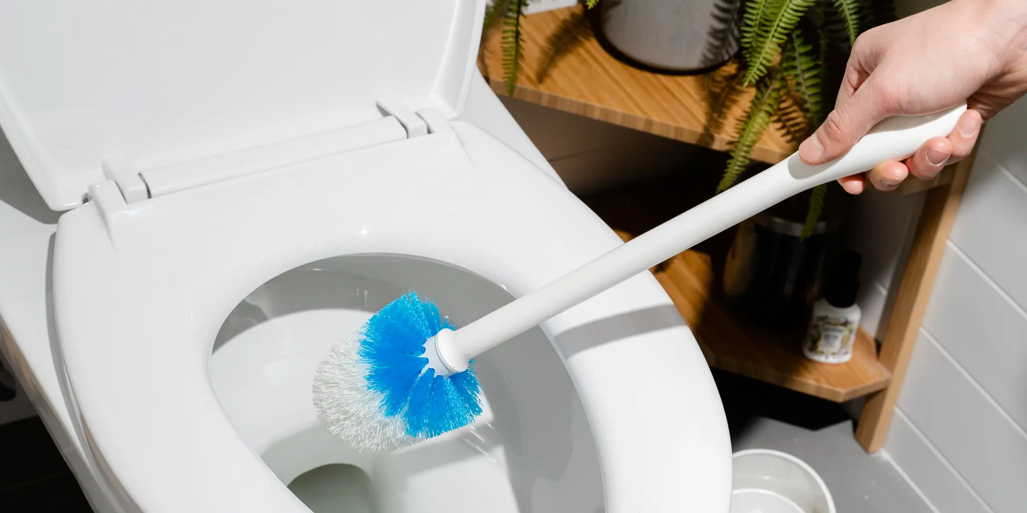 Professional Toilet Cleaning Service